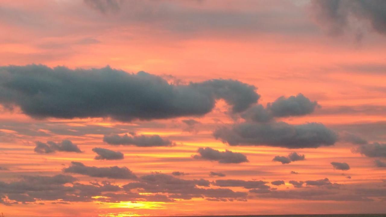 Malibu Beach Koksijde Bagian luar foto