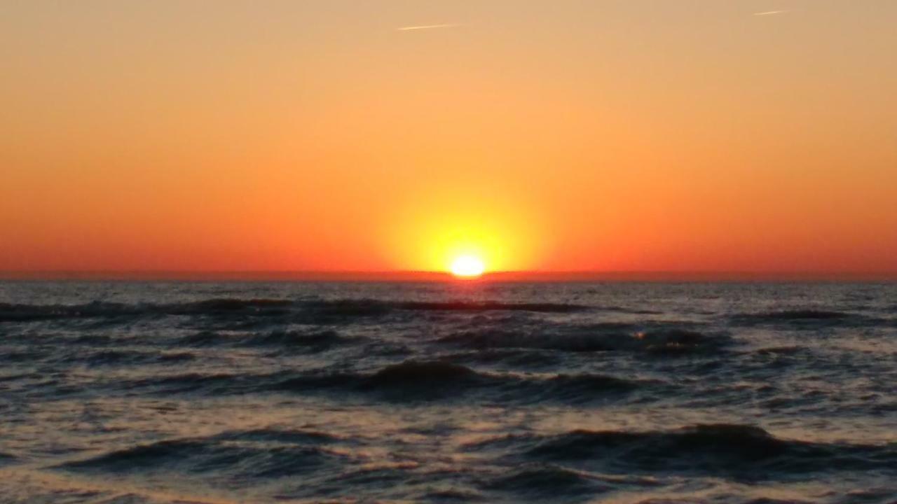 Malibu Beach Koksijde Bagian luar foto